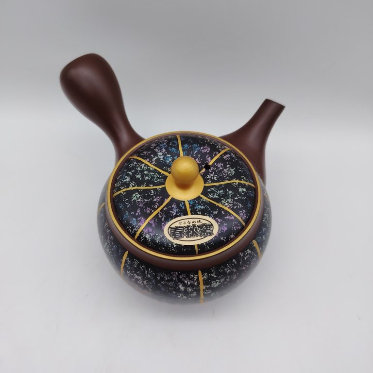 Kyusu Deluxe del maestro Shunshu - 300ml
