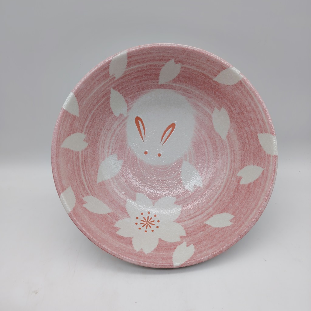 Set di due ciotole da ramen rosa e blu con coniglietti