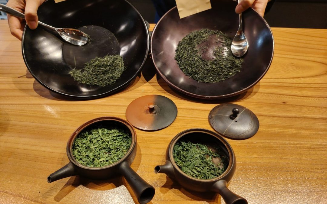 Degustazione shincha Treviso: i nuovi tè giapponesi da scoprire | sabato 19 luglio 2025 alle 10.30