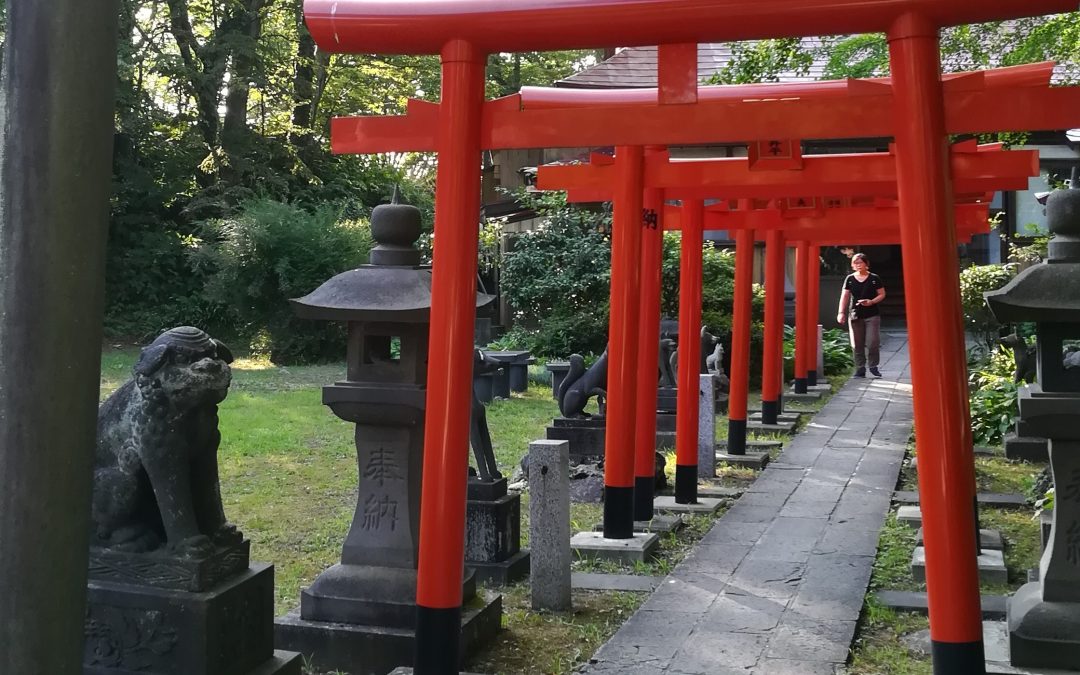 Omamori provenienti dall’Hachiman Akita Jinja, Akita