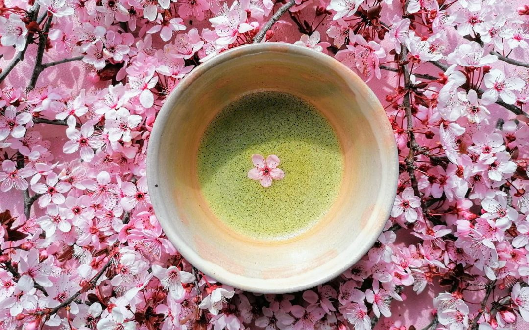 Workshop Matcha – storia, proprietà e preparazione | sabato 9 marzo alle 11.00