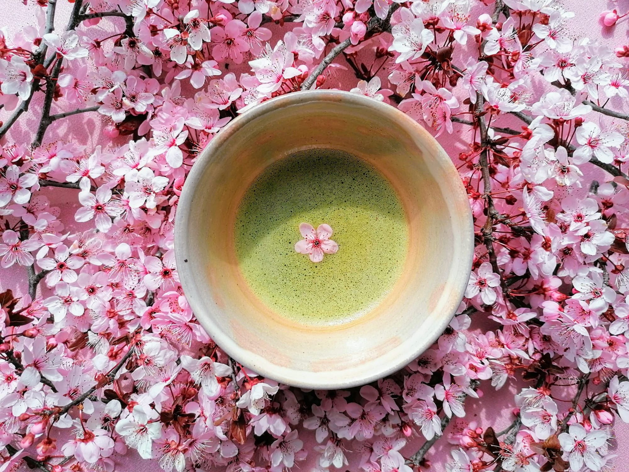 Workshop Matcha – storia, proprietà e preparazione | sabato 9 marzo alle 11.00