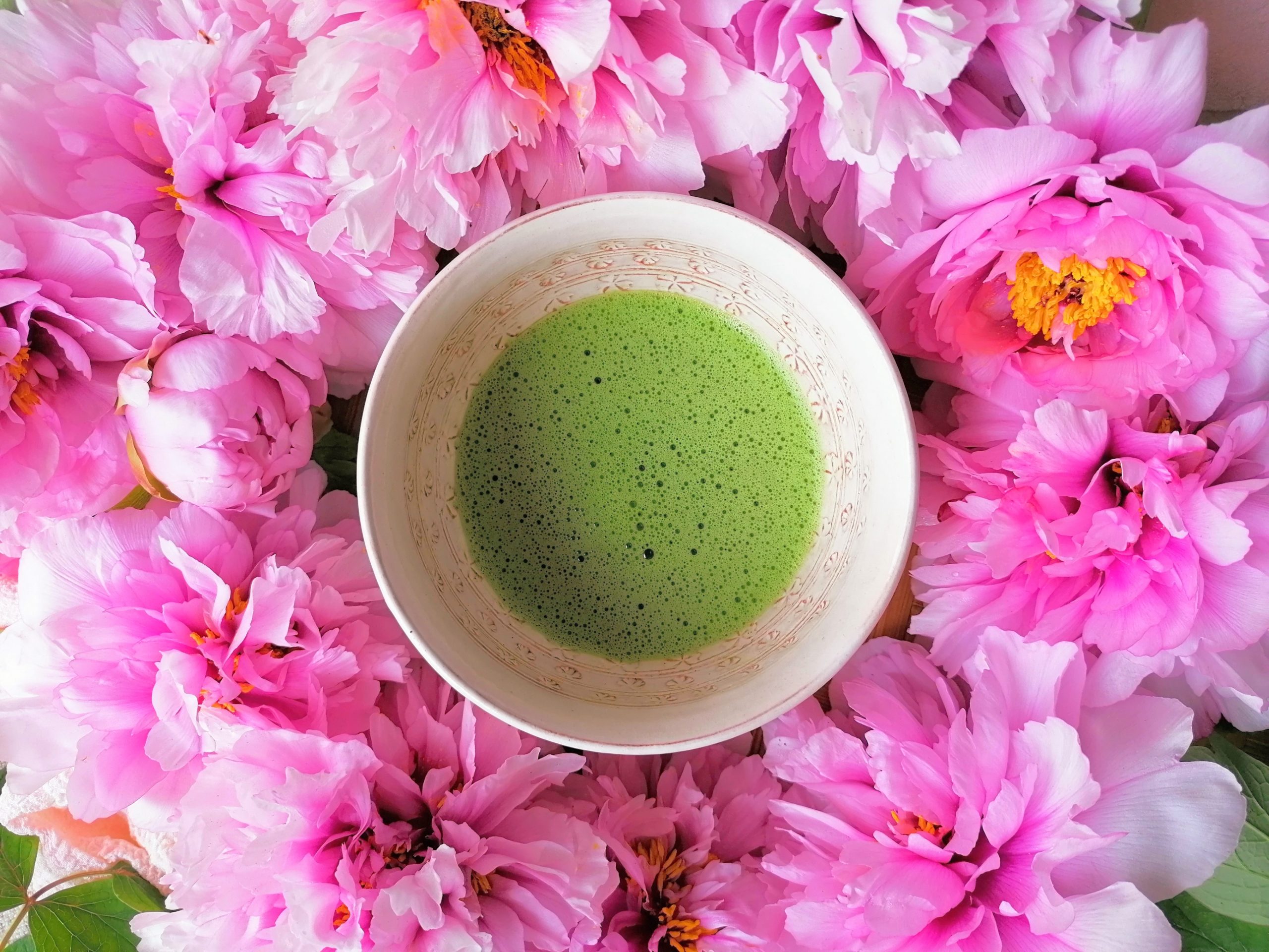 Workshop Matcha – storia, proprietà e preparazione | sabato 12 aprile 2025 alle 10.30