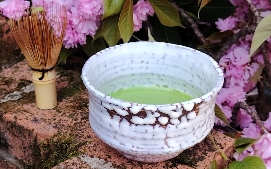 Workshop Matcha – storia, proprietà e preparazione | sabato 9 maggio 2026 alle 10.30