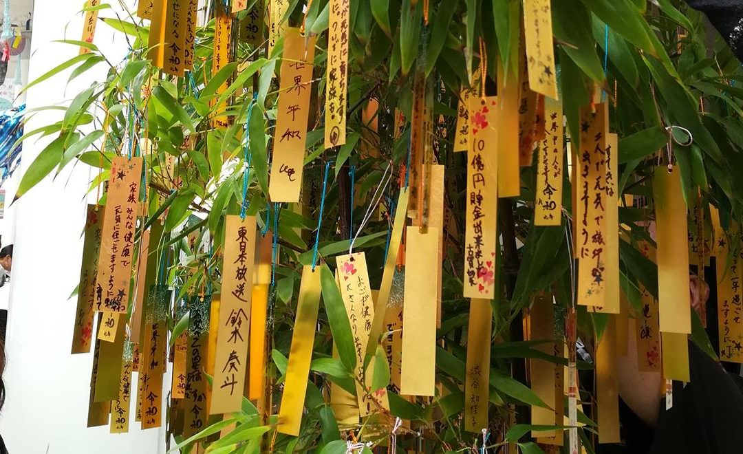 Tanabata 2023 @ Ikiya | venerdì 7 e sabato 8 luglio 2023