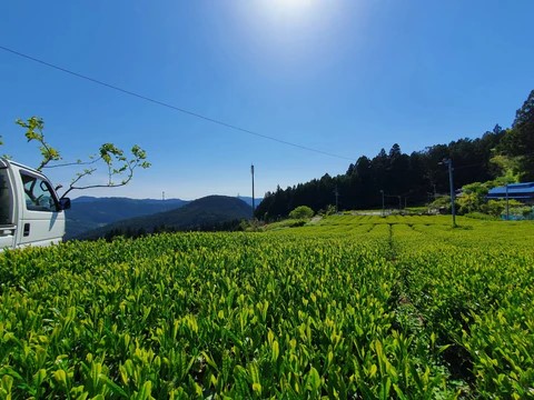 Kamairi-oolong Zairai di Atsumi Tea Garden - 10gr - immagine 4