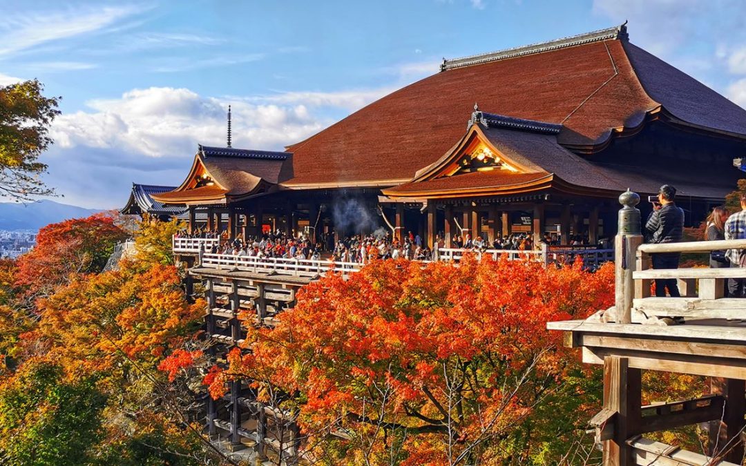 Viaggio in Giappone d’autunno – Novembre 2025