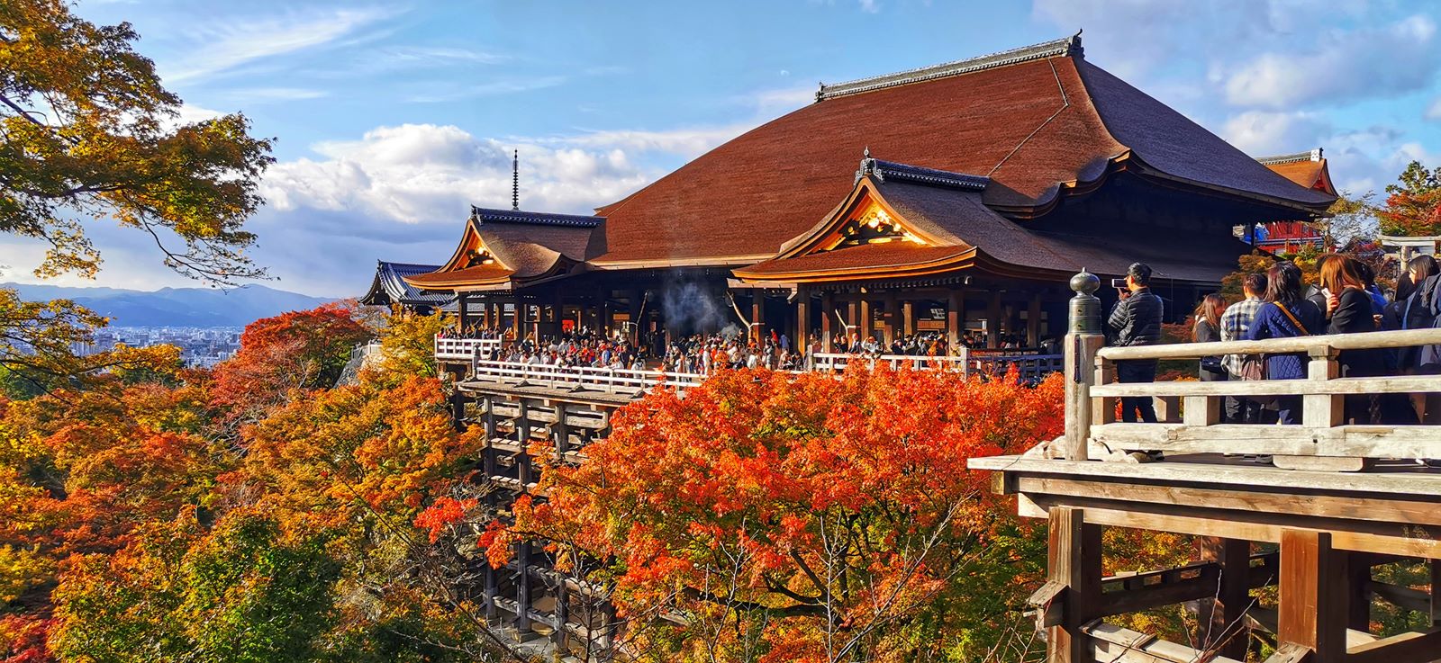 Viaggio in Giappone d’autunno – Novembre 2025