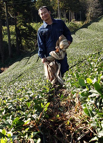Tè bianco giapponese di Kaneroku Matsumoto - 10gr - immagine 2