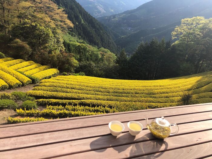Degustazione di tè giapponesi rari: fermentati, gialli e oolong | 15 aprile ore 11.00